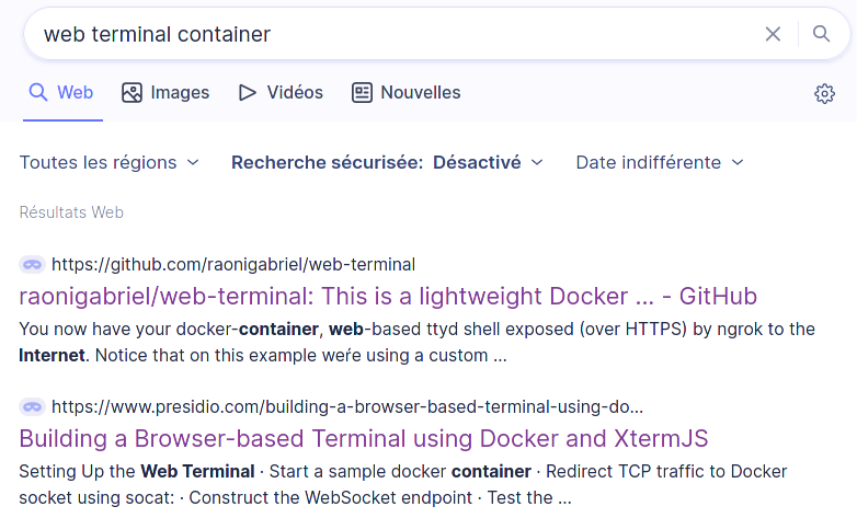 StartPage results for web terminal container