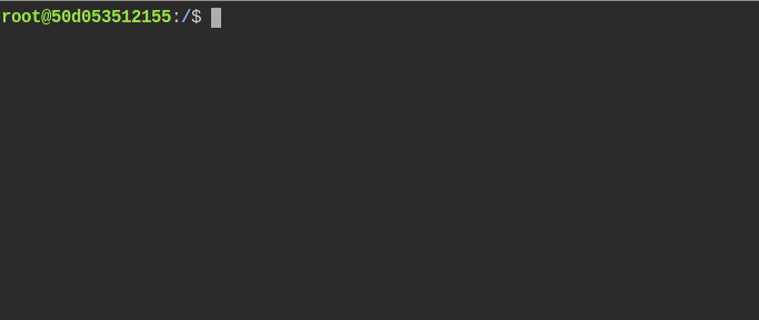 Root shell provided by the web-terminal container